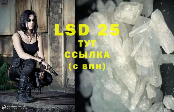 PSILOCYBIN Балахна