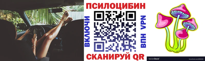 цена наркотик  Шлиссельбург  Галлюциногенные грибы Cubensis 